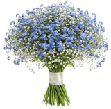 Bouquet Blue Forget Me Not with Gypsophila - Flowers Box London