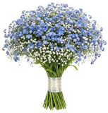 Bouquet Blue Forget Me Not with Gypsophila - Flowers Box London