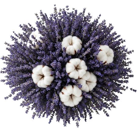 Bouquet Cotton and Lavender