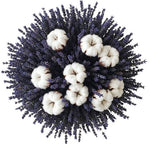 Bouquet Cotton and Lavender