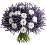 Bouquet Cotton and Lavender - Flowers Box London