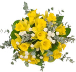 Bouquet Daffodils and White Tanacetum