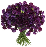 Bouquet Deep Purple Sweet Pea