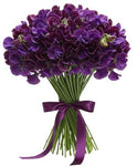 Bouquet Deep Purple Sweet Pea
