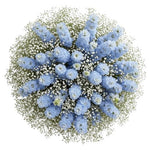 Bouquet Delphinium with White Gypsophila