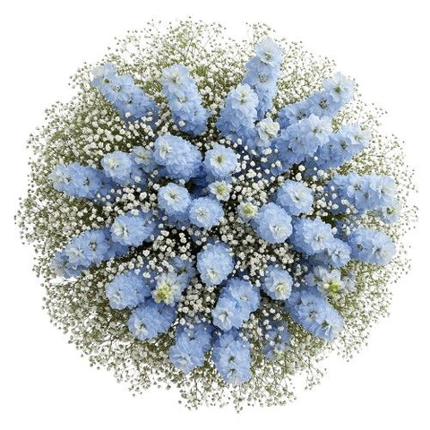 Bouquet Delphinium with White Gypsophila