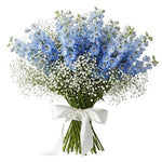 Bouquet Delphinium with White Gypsophila