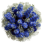 Bouquet Delphinium with White Gypsophila - Flowers Box London