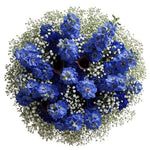 Bouquet Delphinium with White Gypsophila
