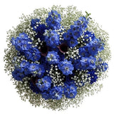 Bouquet Delphinium with White Gypsophila