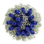 Bouquet Delphinium with White Gypsophila
