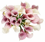 Bouquet Light Pink and White Calla Lily - Flowers Box London