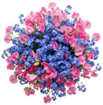 Bouquet of Blue Forget Me Not and Sweet Pea - Flowers Box London