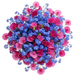 Bouquet of Blue Forget Me Not and Sweet Pea