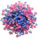 Bouquet of Blue Forget Me Not and Sweet Pea