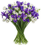 Bouquet of Blue Iris and Sweet Peas - Flowers Box London