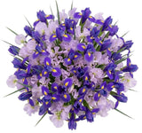 Bouquet of Blue Iris and Sweet Peas - Flowers Box London
