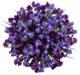 Bouquet of Blue Iris and Sweet Peas - Flowers Box London