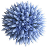 Bouquet of Blue Lagurus and Limonium - Flowers Box London