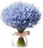 Bouquet of Blue Lagurus and Limonium - Flowers Box London