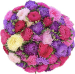 Bouquet of Bright Aster Bouquet - Flowers Box London
