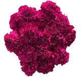 Bouquet of Cerise Carnations - Flowers Box London
