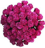 Bouquet of Cerise Carnations - Flowers Box London
