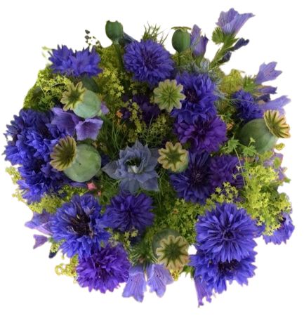 Bouquet of Cornflowers and Poppy Seed Pods
