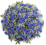 Bouquet of Cornflowers with Gypsophila - Flowers Box London
