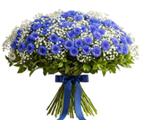 Bouquet of Cornflowers with Gypsophila - Flowers Box London