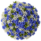 Bouquet of Cornflowers with Gypsophila - Flowers Box London
