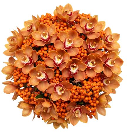 Bouquet of Cymbidium Orchids and Rosehip Berries