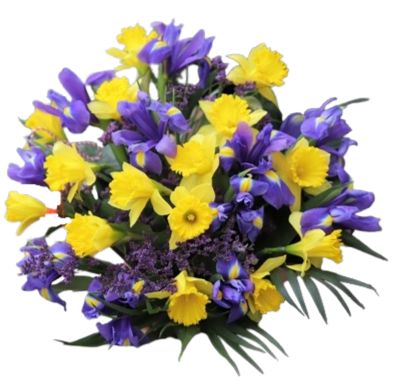 Bouquet of Daffodils and Iris