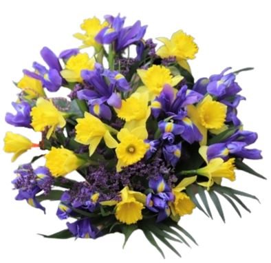 Bouquet of Daffodils and Iris - Flowers Box London