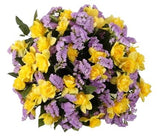 Bouquet of Daffodils with Purple Limonium - Flowers Box London