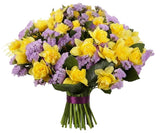 Bouquet of Daffodils with Purple Limonium - Flowers Box London