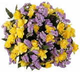 Bouquet of Daffodils with Purple Limonium - Flowers Box London