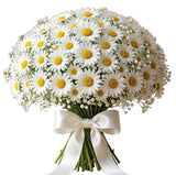 Bouquet of Daisies with Gypsophila - Flowers Box London