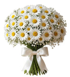 Bouquet of Daisies with Gypsophila - Flowers Box London