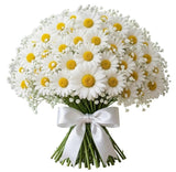 Bouquet of Daisies with Gypsophila - Flowers Box London