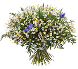 Bouquet of Daisy Tanacetum and Iris with Greenery - Flowers Box London
