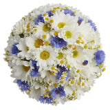 Bouquet of Daisy with Cornflowers and Tanacetum - Flowers Box London