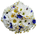 Bouquet of Daisy with Cornflowers and Tanacetum - Flowers Box London