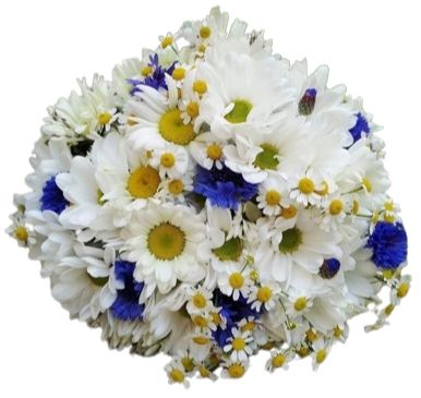 Bouquet of Daisy with Cornflowers and Tanacetum