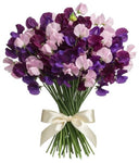 Bouquet of Deep Purple and Pink Sweet Pea