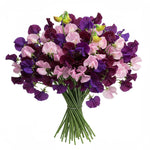 Bouquet of Deep Purple and Pink Sweet Pea