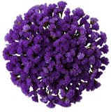 Bouquet of Deep Purple Limonium - Flowers Box London