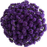 Bouquet of Deep Purple Limonium - Flowers Box London