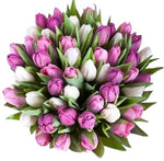 Bouquet of Double Pink and White Tulips - Flowers Box London