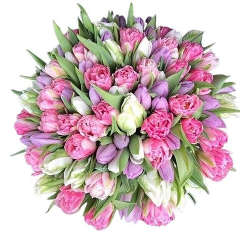 Bouquet of Double Pink and White Tulips with Lavender Accent - Flowers Box London